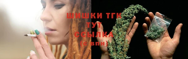 шишки Наволоки