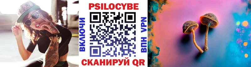 где купить наркоту  Пучеж  Галлюциногенные грибы GOLDEN TEACHER 